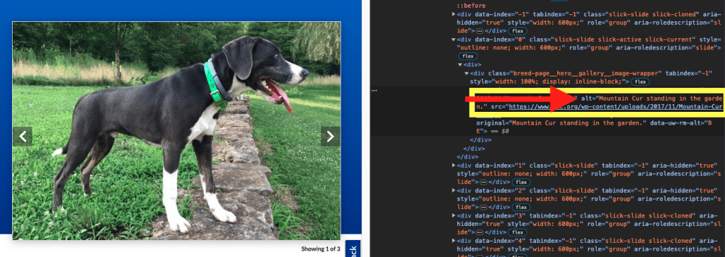 Code inspector view to outline how alt tags work